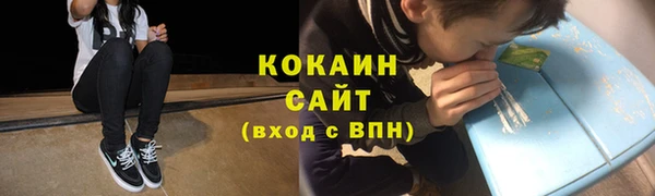 гидра Рославль