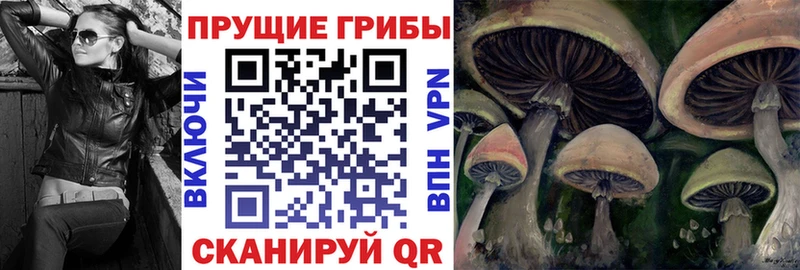 мега вход  Лермонтов  Псилоцибиновые грибы Psilocybe 